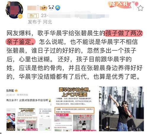 亲子鉴定 爆料视频完整版,真相与争议交织的亲子关系疑云